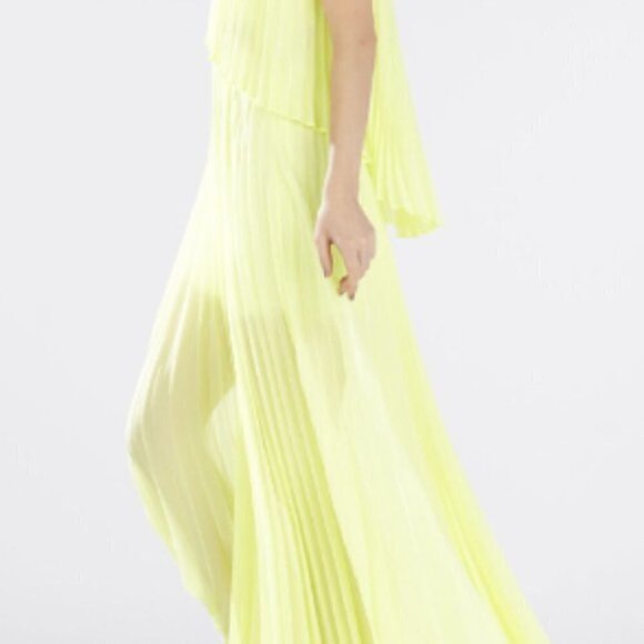 Bcbgmaxazria Shaina Sleeveless Pleated Gown - Picture 14 of 14